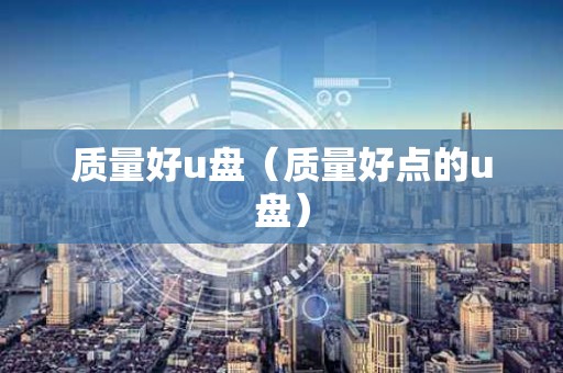 质量好u盘（质量好点的u盘）