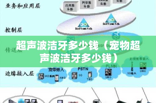 超声波洁牙多少钱（宠物超声波洁牙多少钱）