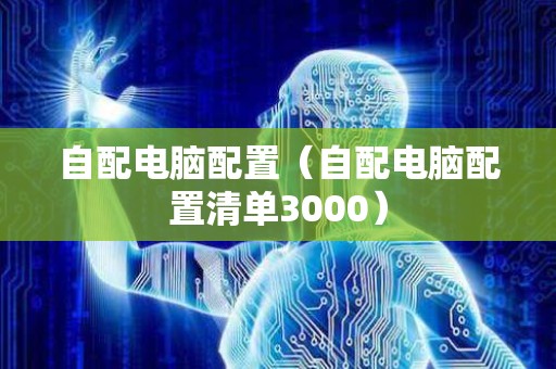 自配电脑配置（自配电脑配置清单3000）