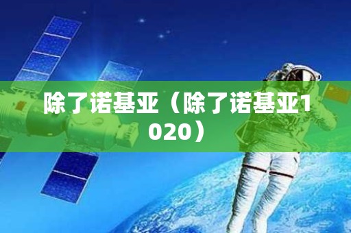 除了诺基亚（除了诺基亚1020）