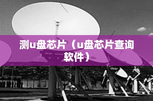 测u盘芯片（u盘芯片查询软件）
