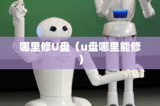 哪里修U盘（u盘哪里能修）