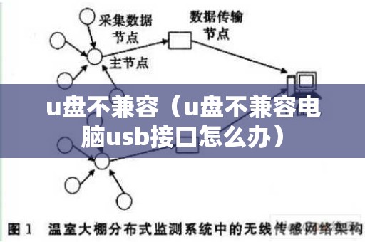 u盘不兼容（u盘不兼容电脑usb接口怎么办）