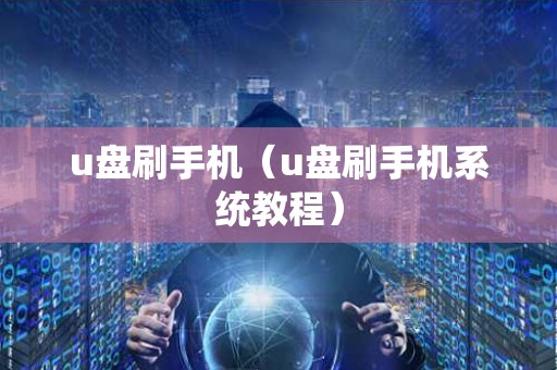 u盘刷手机（u盘刷手机系统教程）