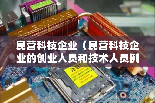 民营科技企业（民营科技企业的创业人员和技术人员例子）