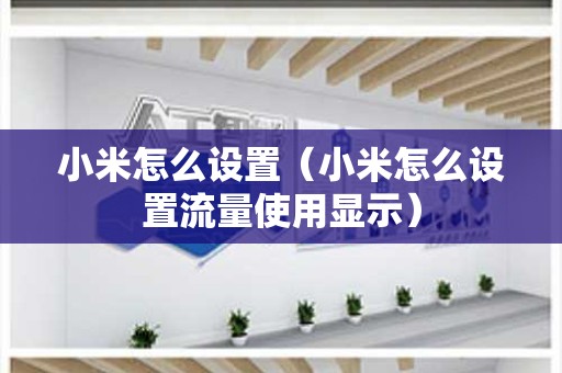 小米怎么设置（小米怎么设置流量使用显示）