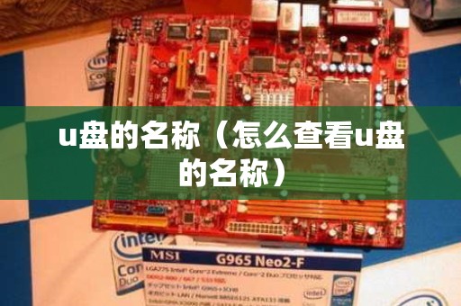 u盘的名称（怎么查看u盘的名称）