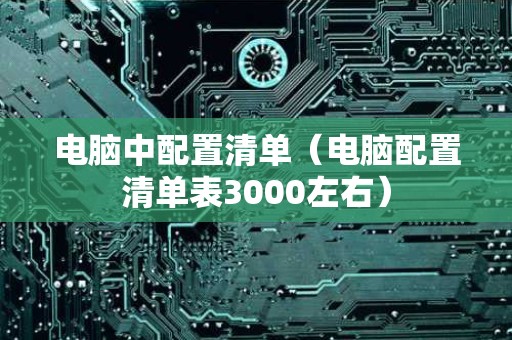 电脑中配置清单（电脑配置清单表3000左右）
