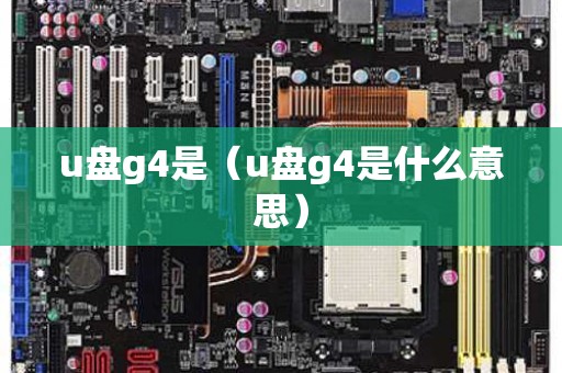 u盘g4是（u盘g4是什么意思）