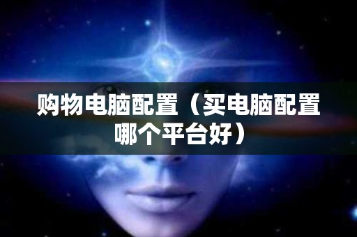 购物电脑配置（买电脑配置哪个平台好）
