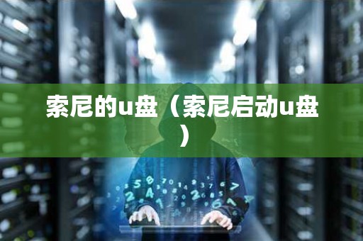 索尼的u盘（索尼启动u盘）