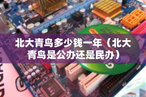 北大青鸟多少钱一年（北大青鸟是公办还是民办）