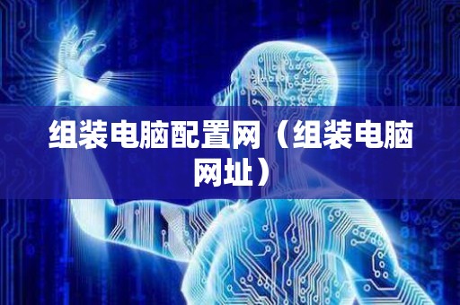 组装电脑配置网（组装电脑网址）