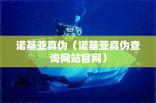 诺基亚真伪（诺基亚真伪查询网站官网）