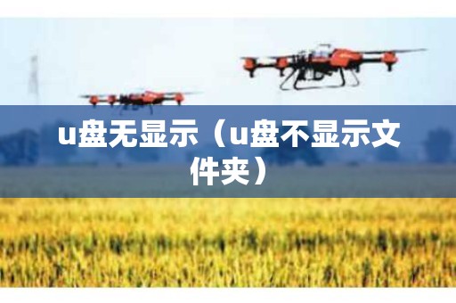 u盘无显示（u盘不显示文件夹）