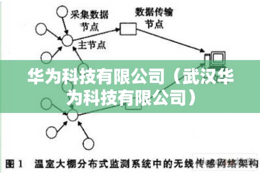 华为科技有限公司（武汉华为科技有限公司）