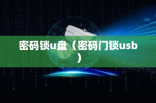 密码锁u盘（密码门锁usb）
