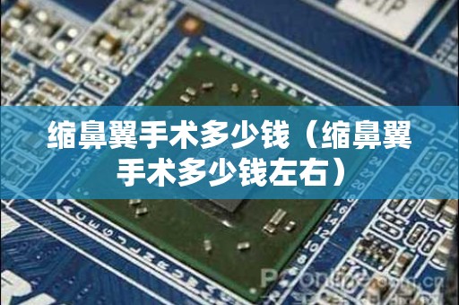 缩鼻翼手术多少钱（缩鼻翼手术多少钱左右）