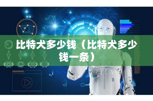 比特犬多少钱（比特犬多少钱一条）