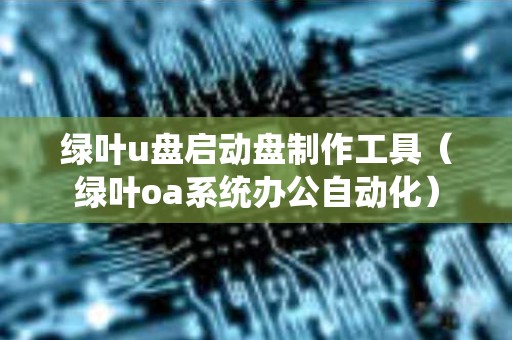 绿叶u盘启动盘制作工具（绿叶oa系统办公自动化）