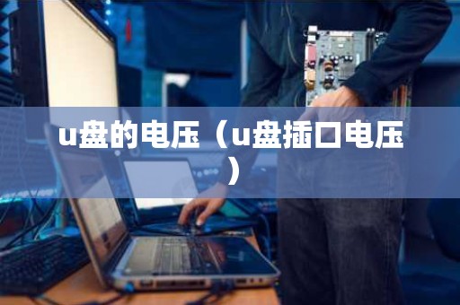 u盘的电压（u盘插口电压）