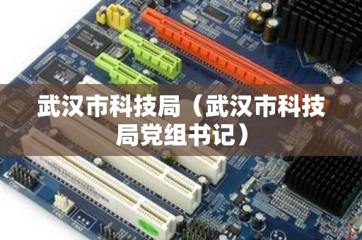 武汉市科技局（武汉市科技局党组书记）