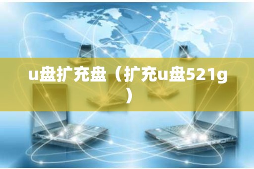 u盘扩充盘（扩充u盘521g）