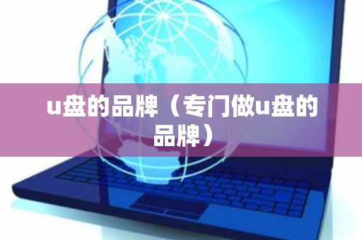 u盘的品牌（专门做u盘的品牌）