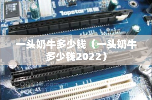 一头奶牛多少钱（一头奶牛多少钱2022）
