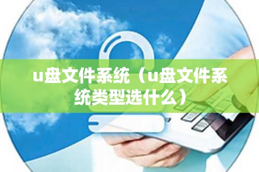 u盘文件系统（u盘文件系统类型选什么）