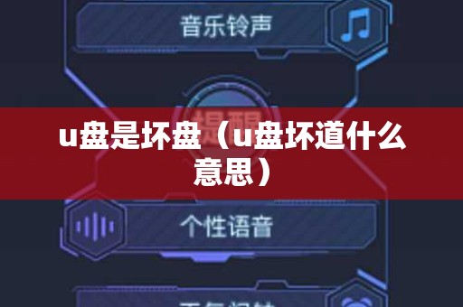 u盘是坏盘（u盘坏道什么意思）