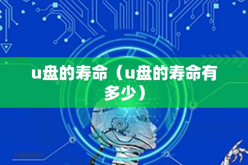 u盘的寿命（u盘的寿命有多少）