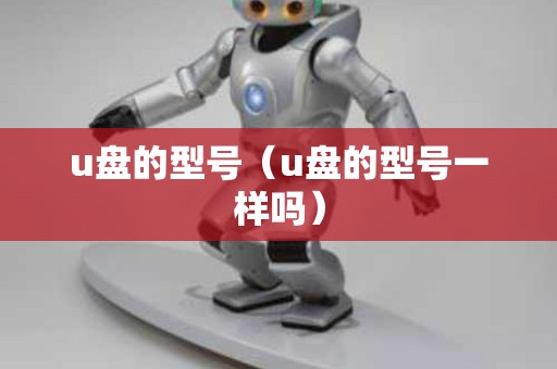 u盘的型号（u盘的型号一样吗）