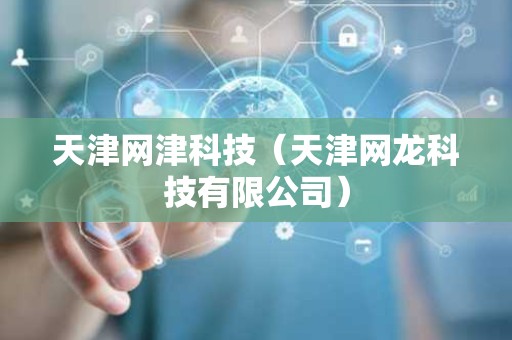 天津网津科技（天津网龙科技有限公司）