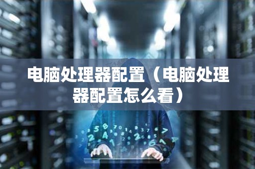 电脑处理器配置（电脑处理器配置怎么看）