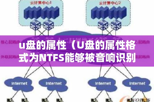 u盘的属性（U盘的属性格式为NTFS能够被音响识别吗）