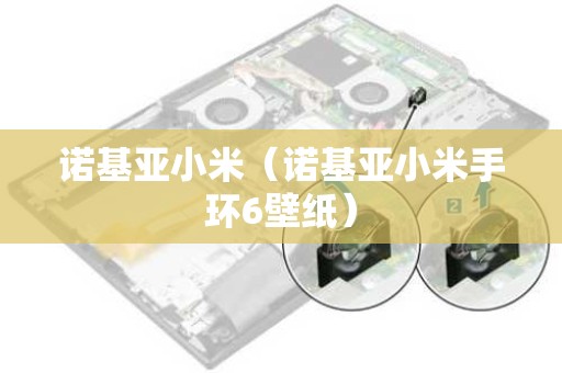 诺基亚小米（诺基亚小米手环6壁纸）