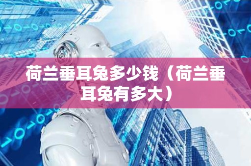 荷兰垂耳兔多少钱（荷兰垂耳兔有多大）