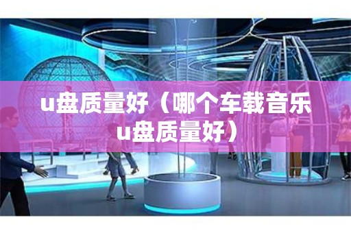 u盘质量好（哪个车载音乐u盘质量好）
