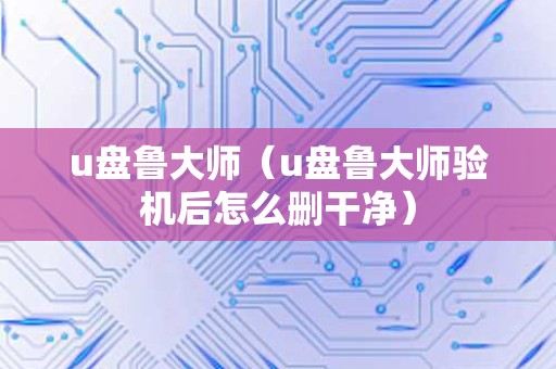 u盘鲁大师（u盘鲁大师验机后怎么删干净）