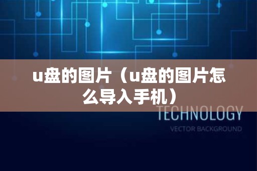 u盘的图片（u盘的图片怎么导入手机）