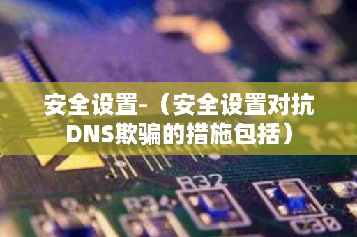 安全设置-（安全设置对抗DNS欺骗的措施包括）