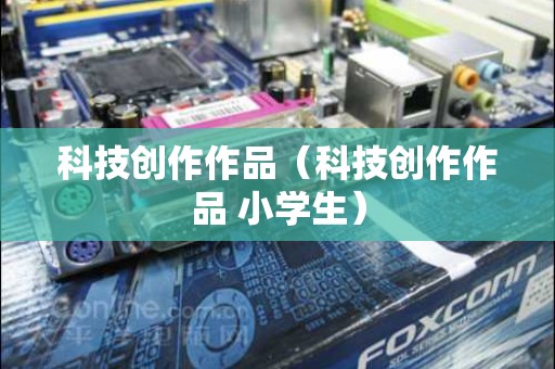 科技创作作品（科技创作作品 小学生）
