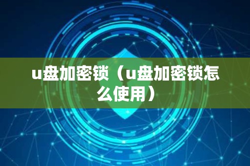 u盘加密锁（u盘加密锁怎么使用）