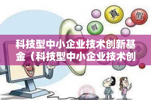 科技型中小企业技术创新基金（科技型中小企业技术创新基金项目）