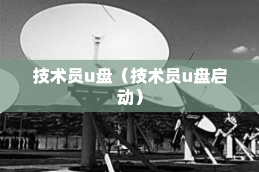 技术员u盘（技术员u盘启动）