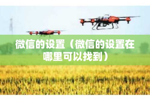 微信的设置（微信的设置在哪里可以找到）