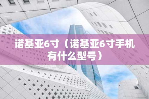 诺基亚6寸（诺基亚6寸手机有什么型号）