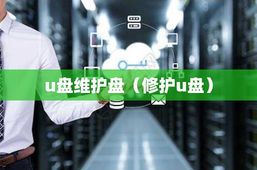 u盘维护盘（修护u盘）