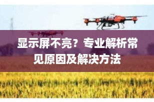 显示屏不亮？专业解析常见原因及解决方法